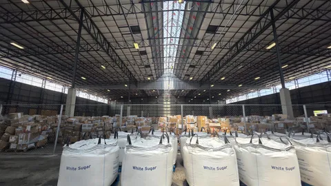 WhatsApp Image 2025-11-25 at 14.11.40.